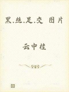 黑.丝.足.交 图片